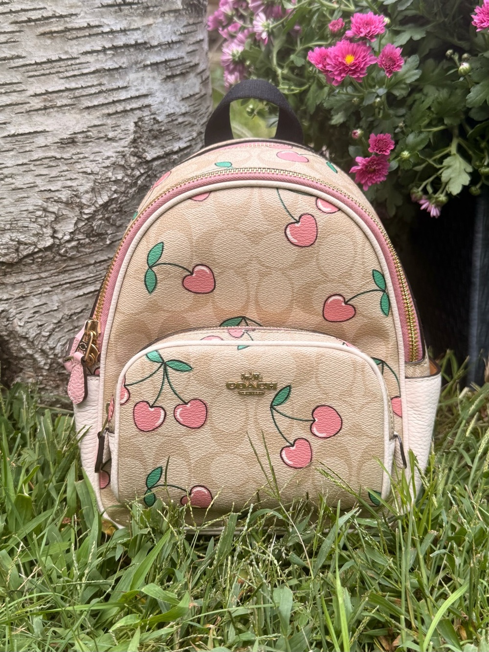 Coach Mini Court Backpack